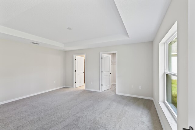 carpeted empty room with a raised ceiling and a wealth of natural light