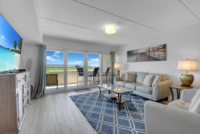 living room featuring a textured ceiling and wood finished floors