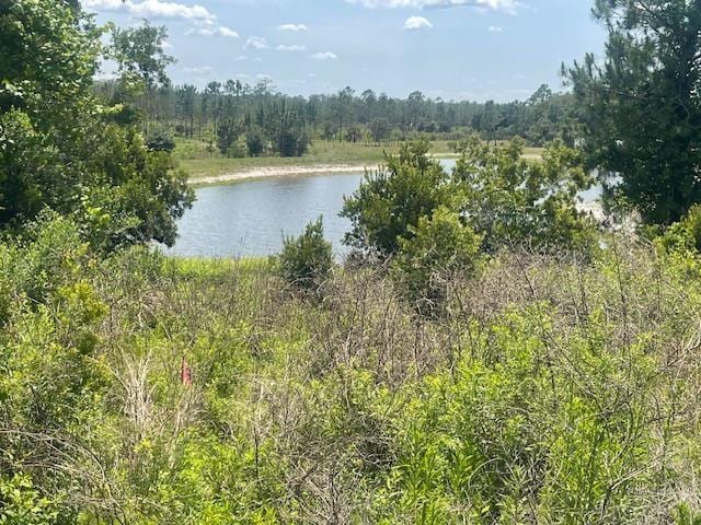211 Village Dr, Welaka, FL 32193