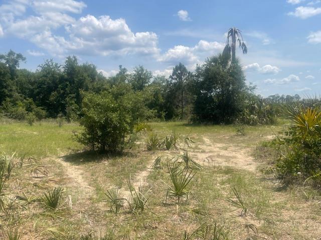 211 Village Dr, Welaka, FL 32193