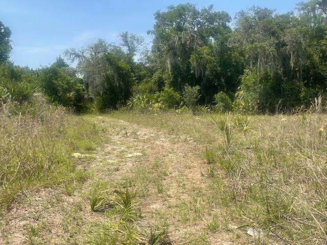 211 Village Dr, Welaka, FL 32193
