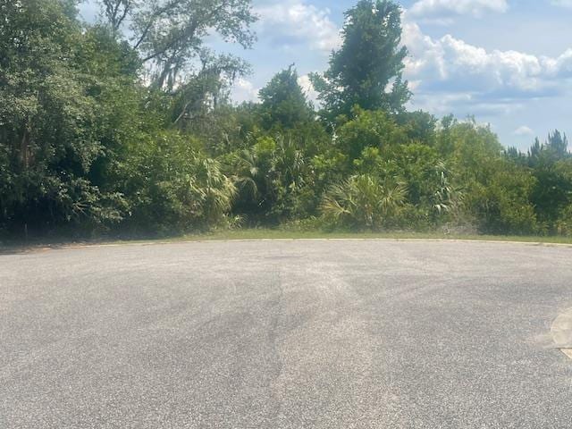 211 Village Dr, Welaka, FL 32193