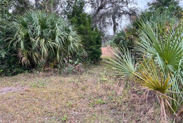 211 Village Dr, Welaka, FL 32193