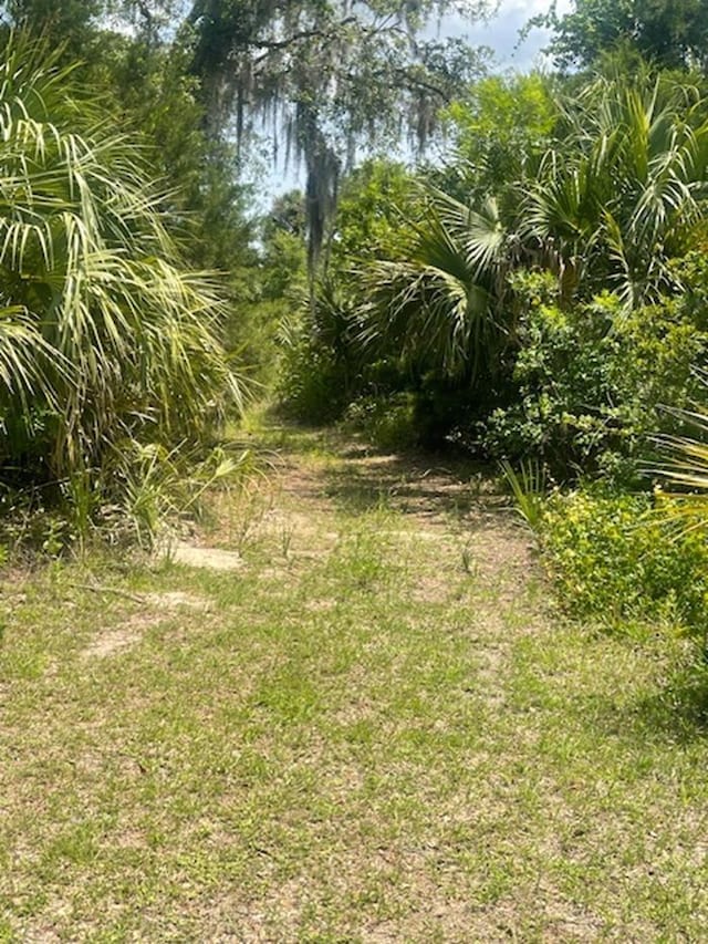 211 Village Dr, Welaka, FL 32193
