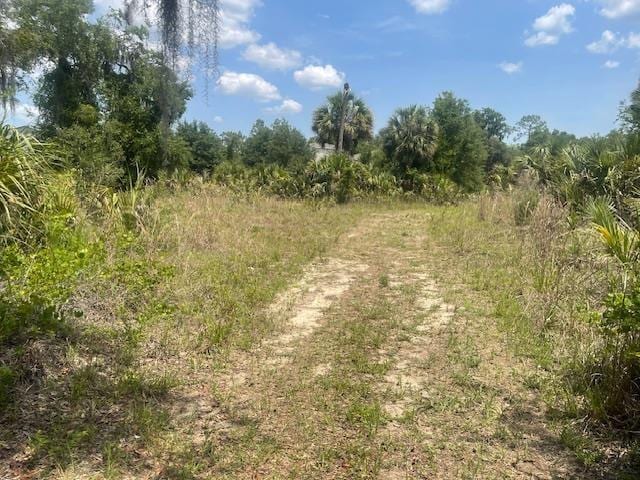 211 Village Dr, Welaka, FL 32193