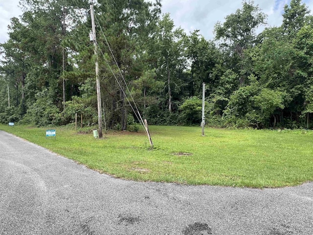 157 Islander Rd, Satsuma, FL 32189 - photo 26