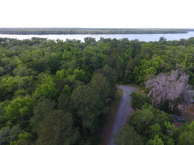 157 Islander Rd, Satsuma, FL 32189 - photo 25