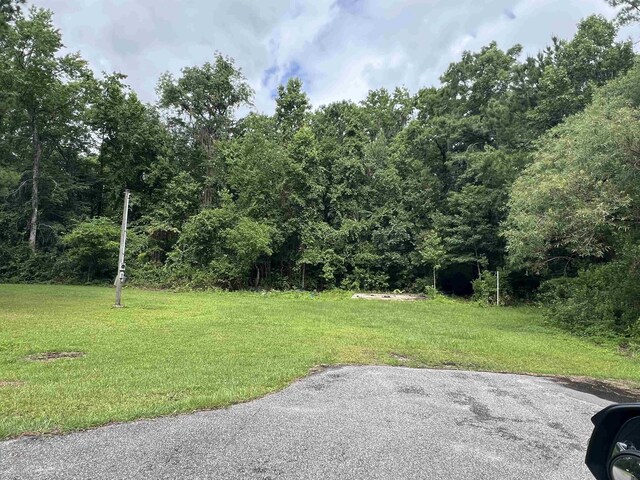 157 Islander Rd, Satsuma, FL 32189 - photo 28
