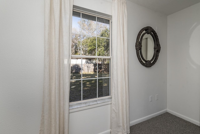 room details featuring carpet floors