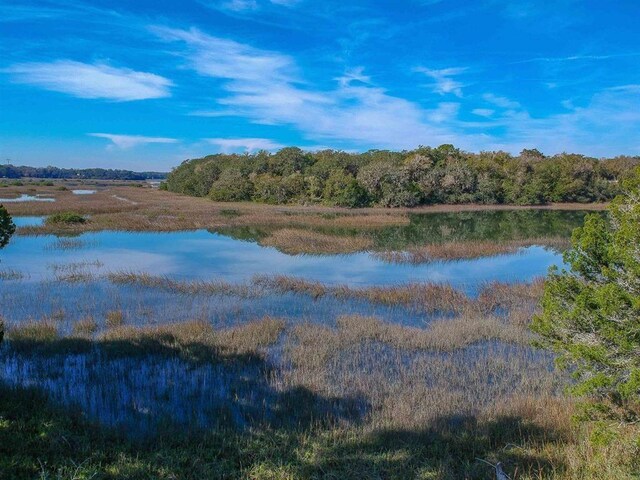 100 Saturn Rd, Saint Augustine, FL 32086 - water view with a heavily wooded area