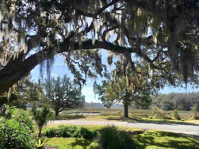 100 Saturn Rd, Saint Augustine, FL 32086 - view of yard