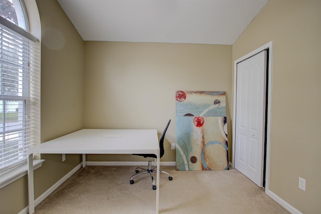 office with light colored carpet