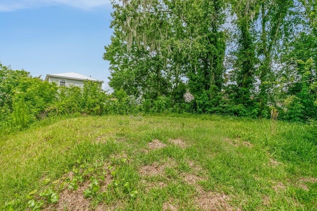 2891 N 8th St, Saint Augustine, FL 32084 - view of yard