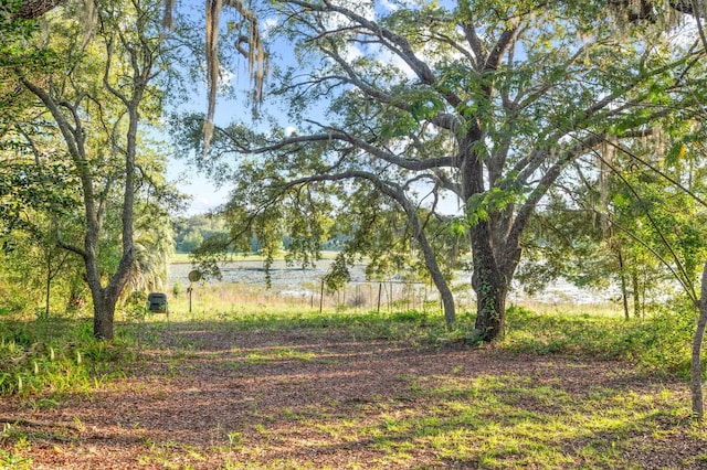 219 N Cooper Lake Dr, Interlachen, FL 32148 - photo 43