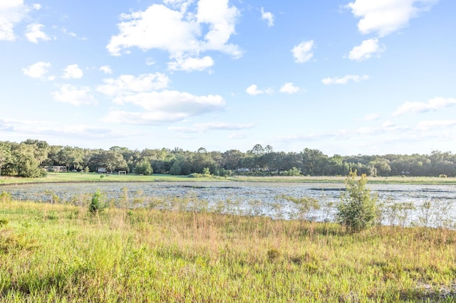219 N Cooper Lake Dr, Interlachen, FL 32148 - photo 44