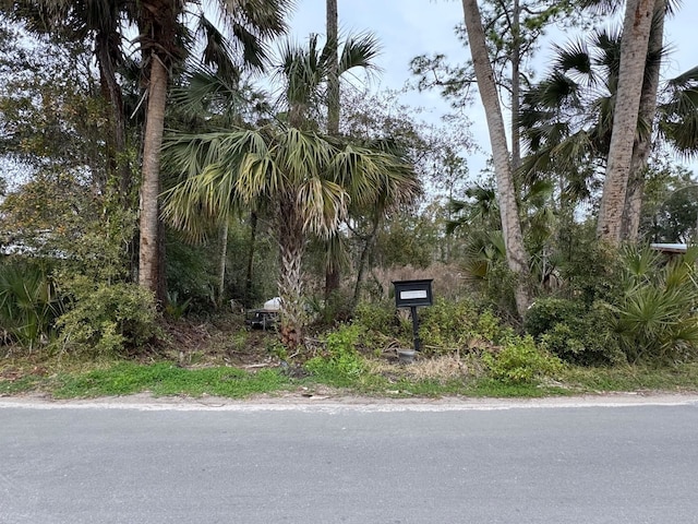 1032 Pearl St, Saint Augustine FL, 32084 land for sale