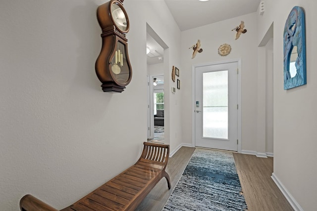 doorway to outside with wood-type flooring