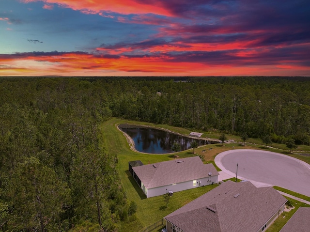 11 Ace Ct, Bunnell, FL 32110 - aerial view at dusk of a view of trees and a water view