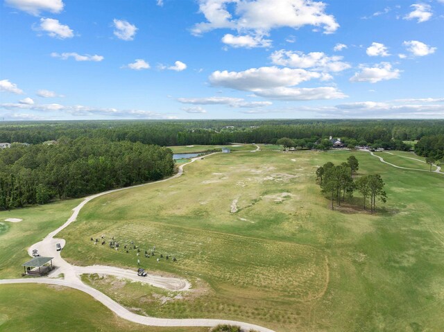 201 N Saxxon Rd, Saint Augustine, FL 32092 - drone / aerial view featuring view of golf course, a water view, and a forest view