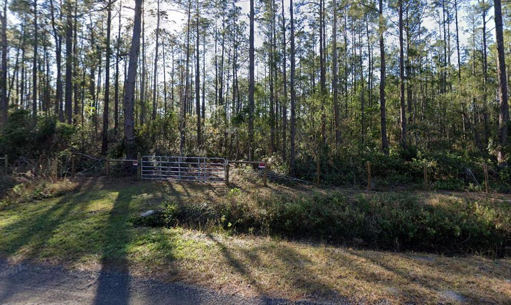 10255 Dillon Ave, Hastings, FL 32145