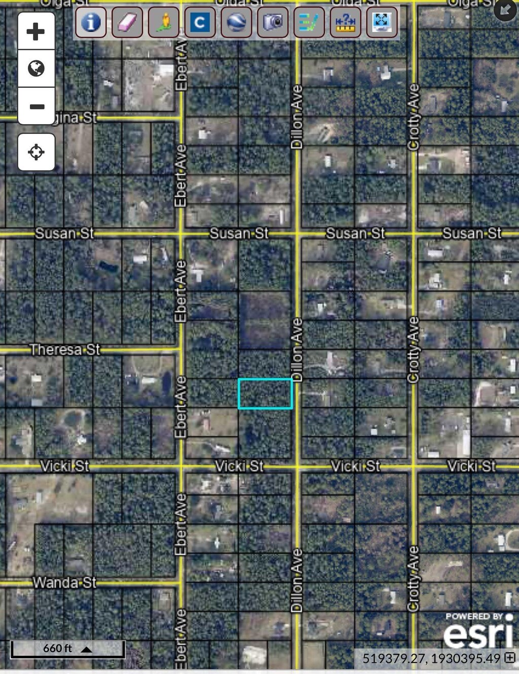 10255 Dillon Ave, Hastings, FL 32145