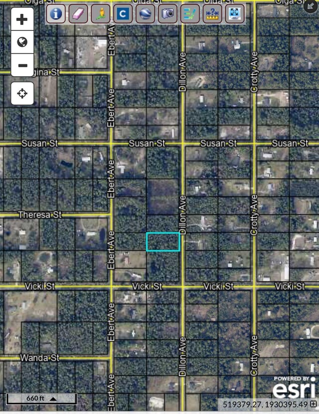 10255 Dillon Ave, Hastings, FL 32145