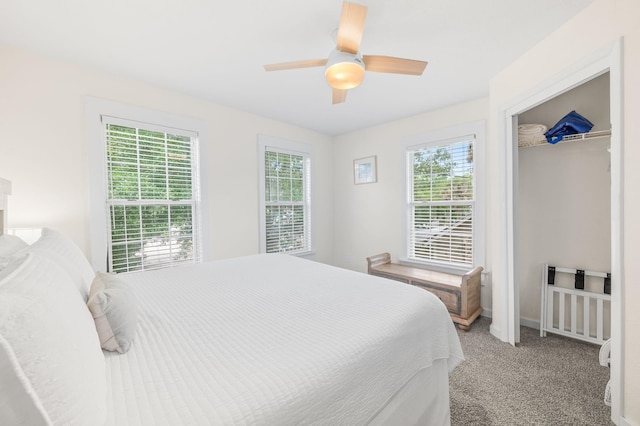 91 Saint Benedict St, Saint Augustine, FL 32084 - bedroom featuring multiple windows, light colored carpet, and ceiling fan