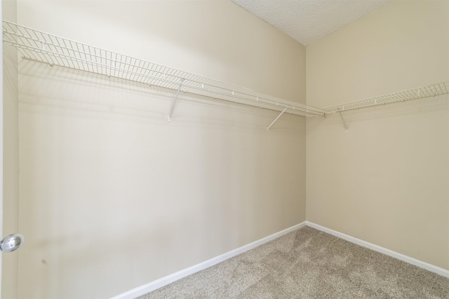 walk in closet featuring carpet