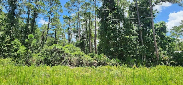112 NE Ter, Georgetown, FL 32139 - photo 1