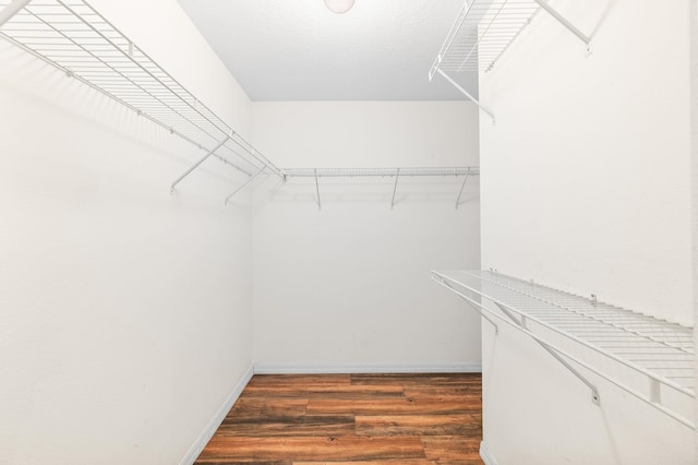 17 Porter Ln, Palm Coast, FL 32164 - spacious closet with wood finished floors