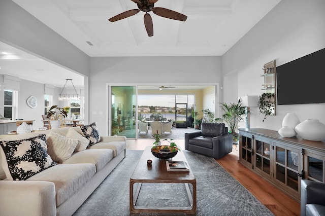 living room featuring coffered ceiling, beam ceiling, ceiling fan with notable chandelier, and hardwood / wood-style floors