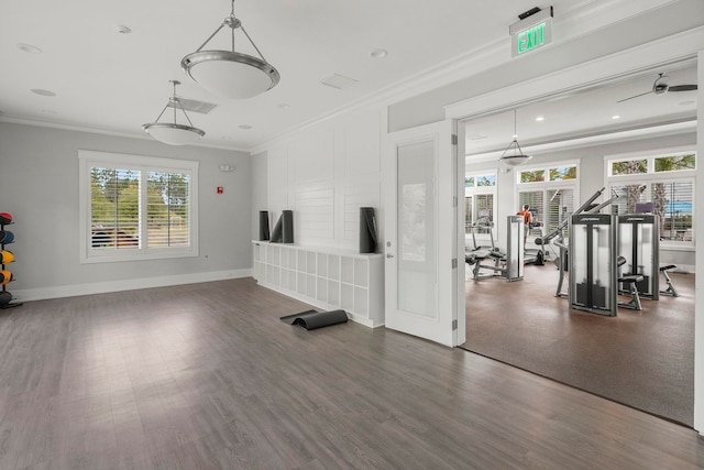 interior space with dark hardwood / wood-style flooring and ornamental molding