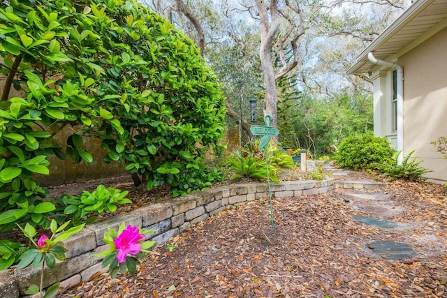 485 Ocean Forest Dr, Saint Augustine, FL 32080 - view of yard