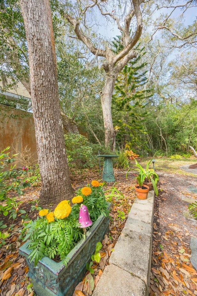 485 Ocean Forest Dr, Saint Augustine, FL 32080 - view of yard
