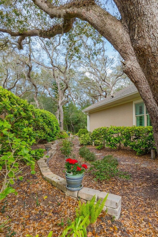 485 Ocean Forest Dr, Saint Augustine, FL 32080 - view of yard