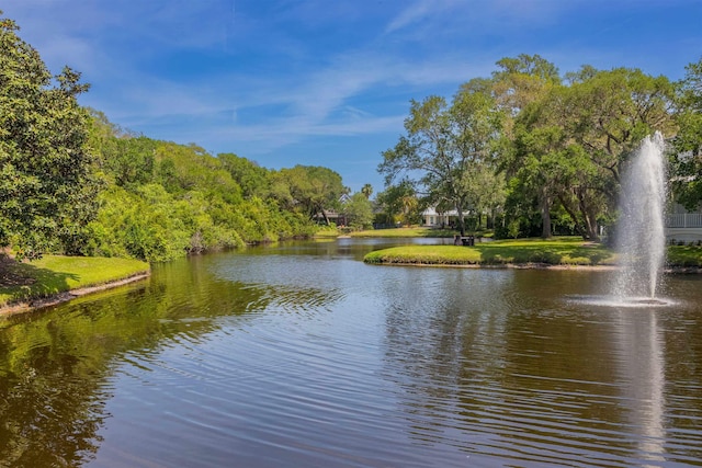 485 Ocean Forest Dr, Saint Augustine, FL 32080 - water view