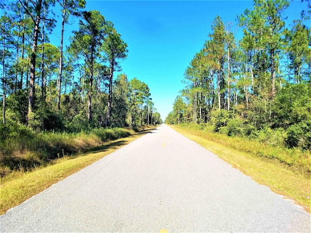 10210 Light Ave, Hastings FL, 32145 land for sale