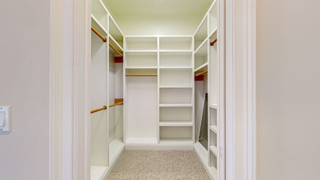 spacious closet featuring light carpet