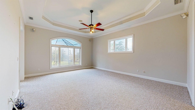 spare room with light carpet, a raised ceiling, and crown molding