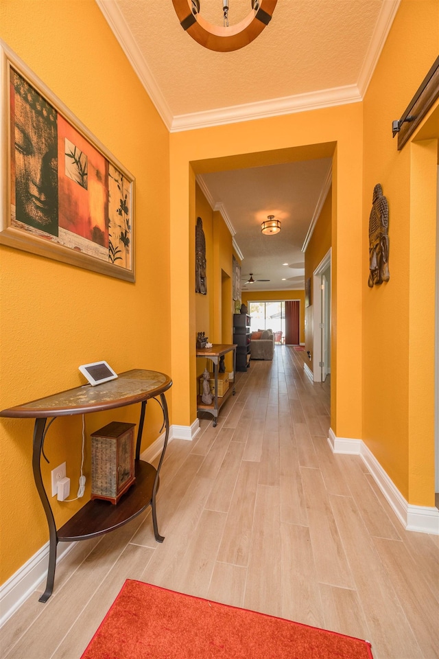 50 Salt Pt, Saint Augustine, FL 32086 - photo 11