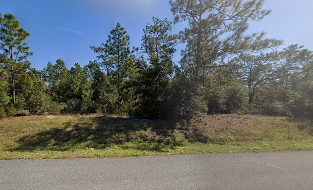 Listing photo 3 for 0 Francis St, Interlachen FL 32148