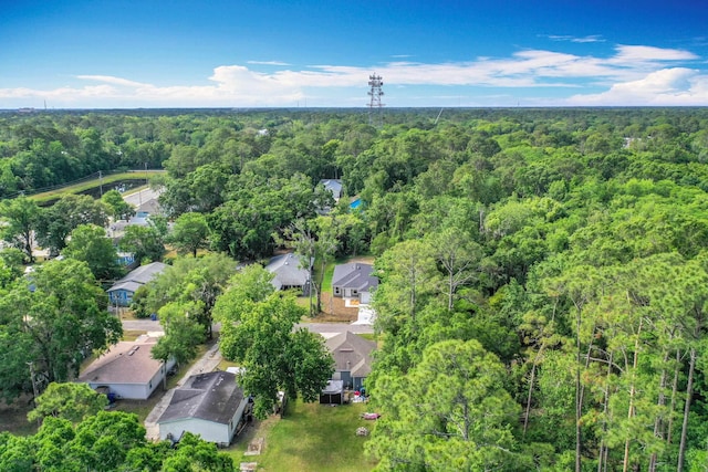 921 Helen St, Saint Augustine, FL 32084 - aerial view of residential area with a forest