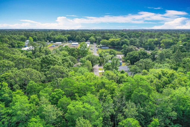 921 Helen St, Saint Augustine, FL 32084 - bird's eye view of a forest
