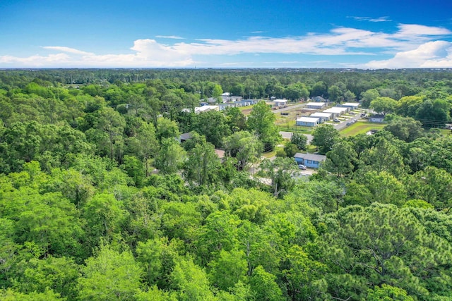 921 Helen St, Saint Augustine, FL 32084 - aerial view of a heavily wooded area