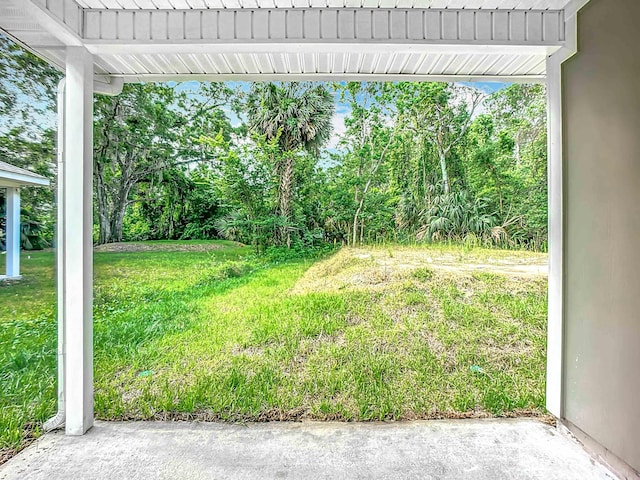 921 Helen St, Saint Augustine, FL 32084 - view of green lawn