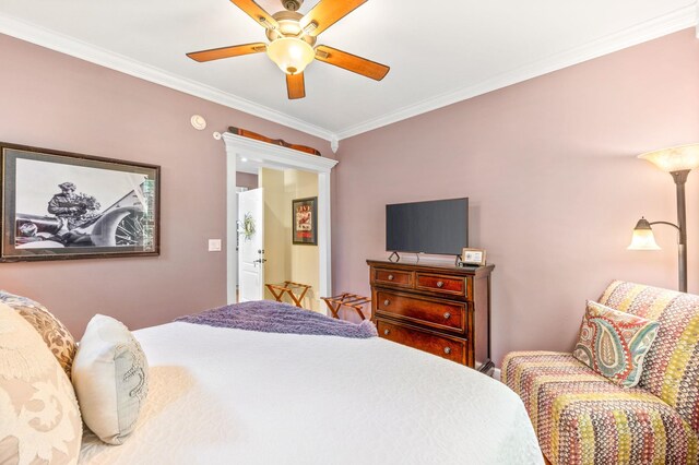 89 Cedar St, Saint Augustine, FL 32084 - photo 29