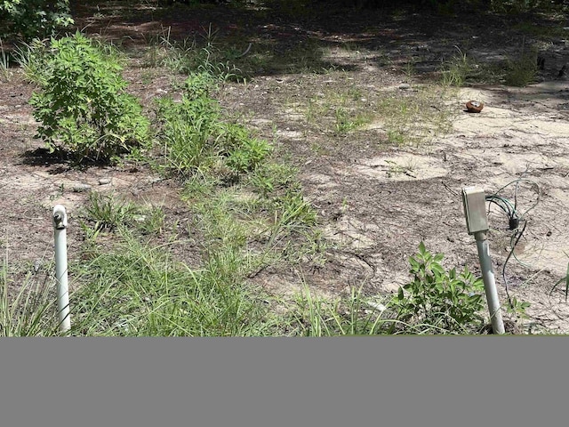 2912 Tuscarora Trl, Middleburg, FL 32068 - photo 43