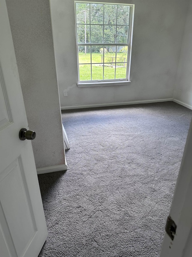 2912 Tuscarora Trl, Middleburg, FL 32068 - photo 24
