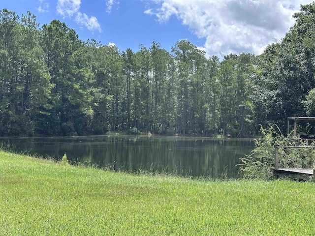 2912 Tuscarora Trl, Middleburg, FL 32068 - photo 44
