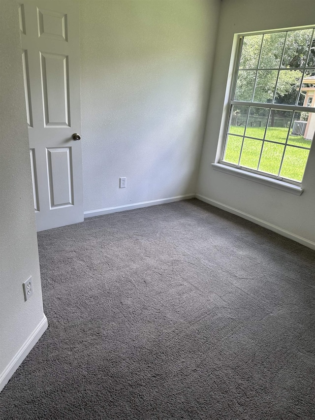 2912 Tuscarora Trl, Middleburg, FL 32068 - photo 23